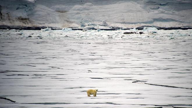 Réchauffement climatique : une température record de 38°C atteinte en Arctique en juin 2020 validée par l'ONU