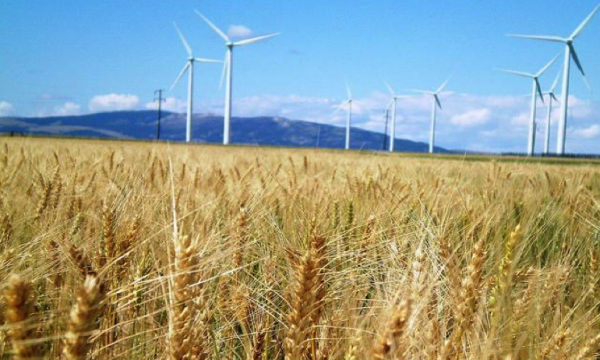 RWE pose la première pierre de projets éoliens terrestres de 50 MW en France