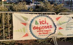 Au Havre, où sont les points de collecte où l’on peut déposer son sapin de Noël ?
