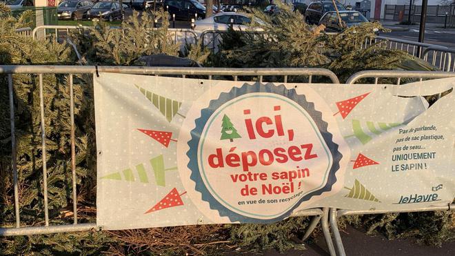 Au Havre, où sont les points de collecte où l’on peut déposer son sapin de Noël ?