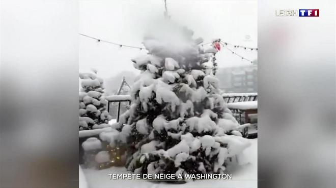 Impressionnante tempête de neige à Washington