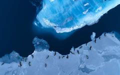 Antarctique : « quelque chose de dramatique est en cours » avertissent les auteurs d'une étude sur 150 ans de données