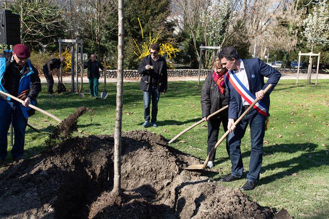 La Ville de Grenoble vante une saison de plantations 2021–2022 record avec plus de 1500 arbres prévus