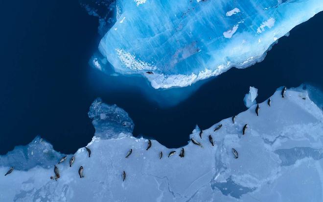 Antarctique : « quelque chose de dramatique est en cours » avertissent les auteurs d'une étude massive