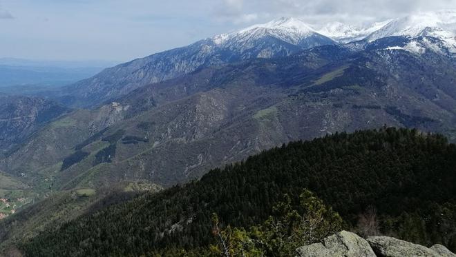 Pyrénées-Orientales : la réserve naturelle de Py classée parmi les plus riches de France