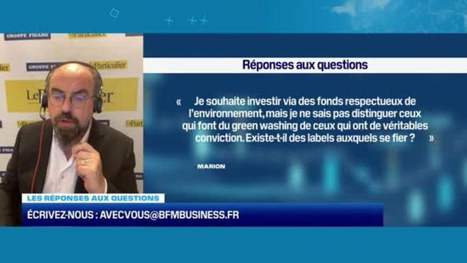 Placement : comment identifier des fonds réellement respectueux de l'environnement