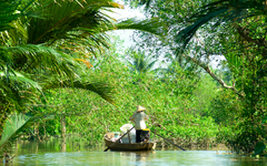 Mekong : plus de 200 nouvelles espèces animales et végétales ont été découvertes en 2020