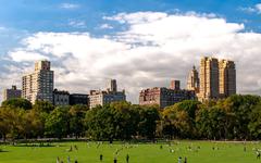 Climat : Central Park se transforme en centre de recherche pour l’environnement