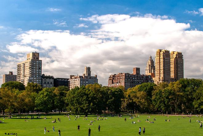 Climat : Central Park se transforme en centre de recherche pour l’environnement