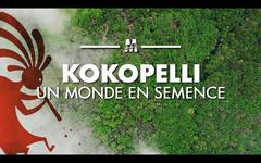Reportage. Kokopelli, un monde en semence