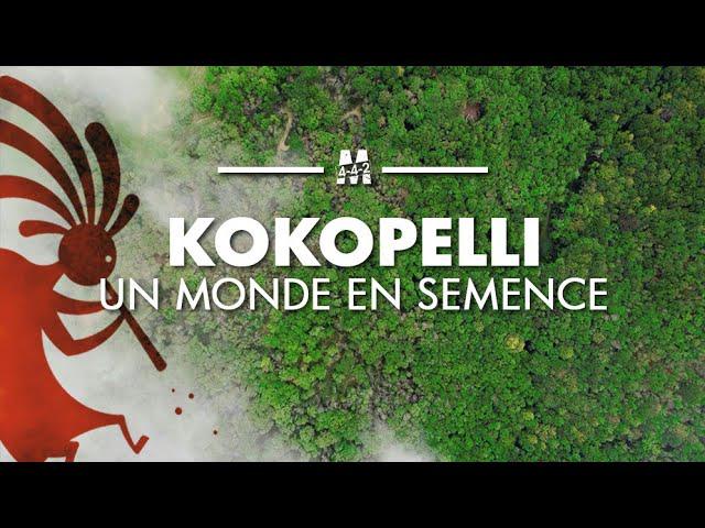 Reportage. Kokopelli, un monde en semence