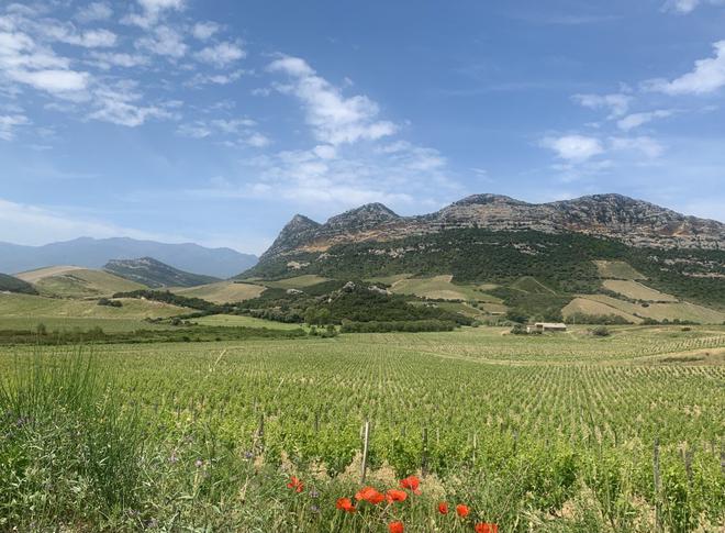 Patrimonio, Grand Site de France sans glyphosate