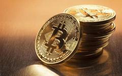 Belgique : Un membre du Parlement va recevoir son salaire en Bitcoin (BTC)