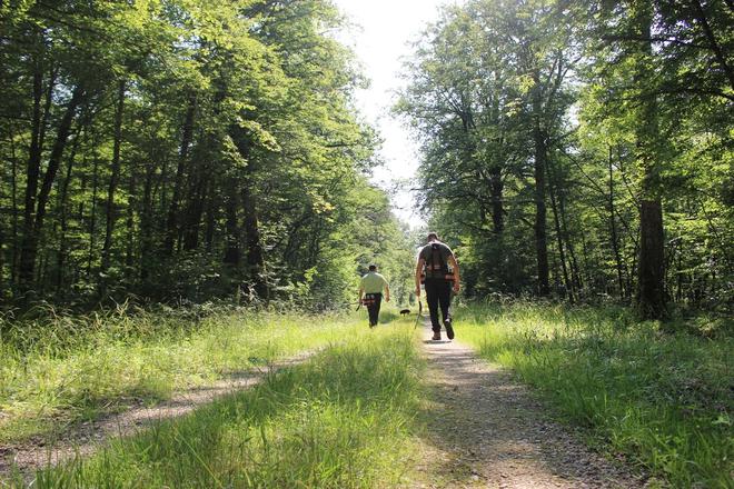 La forêt, espace commun, espèce à protéger