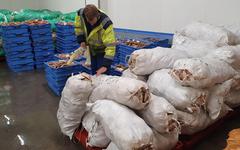 Tansmanche en berne, produits de la pêche en hausse… Le bilan en demi-teinte du port de Dieppe