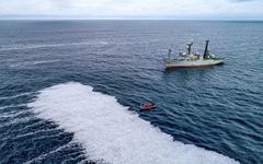 Hécatombe de poissons dans le golfe de Gascogne : les navires-usines dans le viseur