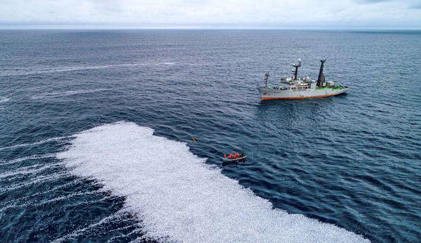 Hécatombe de poissons dans le golfe de Gascogne : les navires-usines dans le viseur