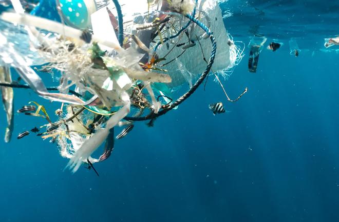 WWF alerte : la pollution plastique dans les océans doit être traitée en urgence