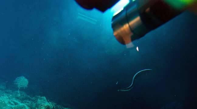 One Ocean Summit de Brest : Des mines à des milliers de mètres sous la mer, c’est pour bientôt ?