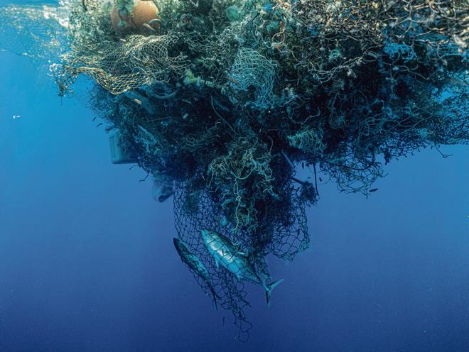 One Ocean Summit. Enfin des engagements pour sauver le poumon bleu de la planète ?
