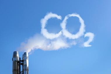 Des directeurs généraux partent à la chasse au carbone