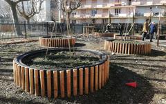 Échirolles : un îlot de fraîcheur végétalisé autour de l’école Marcel-David pour lutter contre le réchauffement climatique