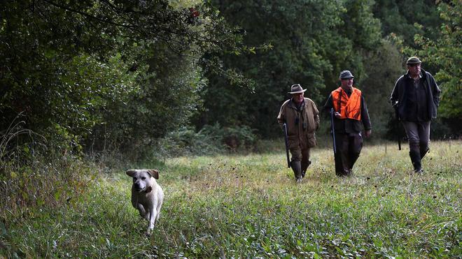 Randonneuse tuée dans le Cantal : écologistes et insoumis réclament l'interdiction de la chasse le week-end