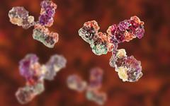 Les vaccins à ARNm créent 17 fois plus d'anticorps neutralisants que l'immunité naturelle