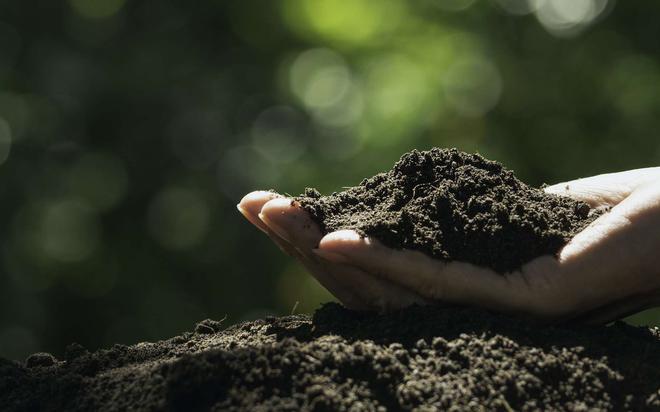 La qualité des sols de la région méditerranéenne atteint un point critique