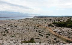 En Méditerranée, les sols se dégradent et se désertifient plus vite que partout ailleurs en Europe