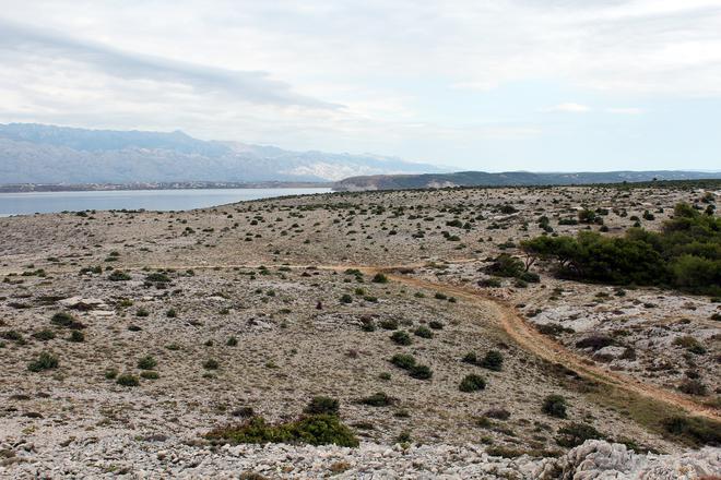 En Méditerranée, les sols se dégradent et se désertifient plus vite que partout ailleurs en Europe