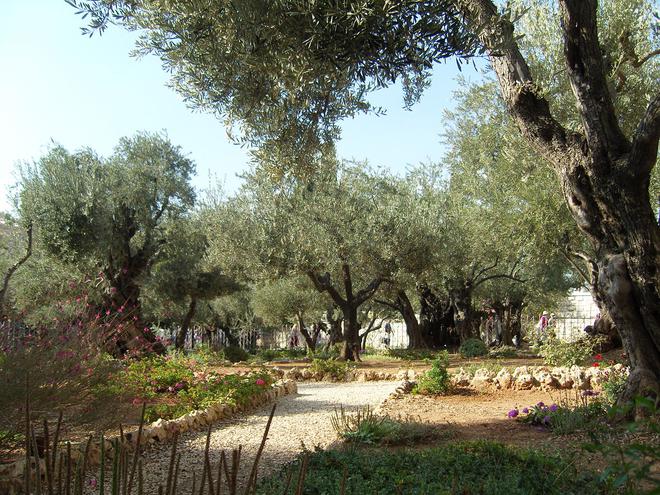 Israël: « Le statut du Mont des Oliviers, pas modifié sans consulter les Eglises »