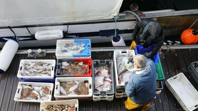 Quotas, surpêche... les raisons d’être optimistes pour nos poissons