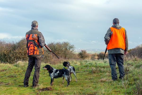 Sécurisation de la chasse : que peuvent faire les collectivités ?