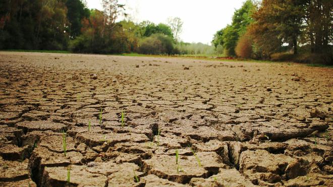 Réchauffement climatique, bio à la cantine... comment les mathématiques pourraient sauver l’agriculture