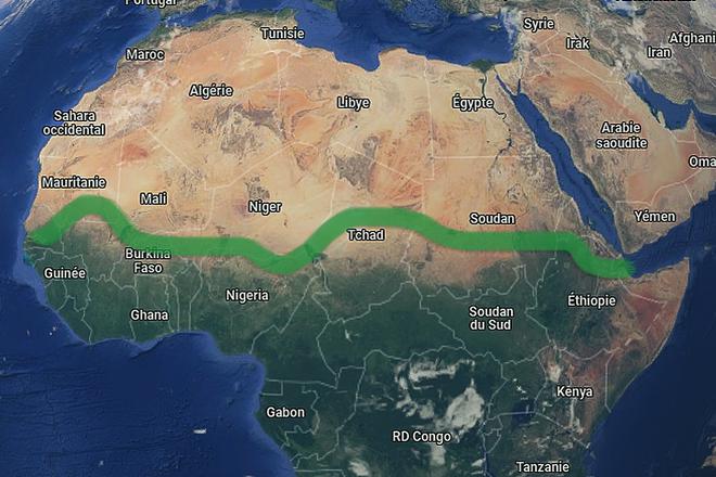 Afrique : le grand mur d’arbres de 8000 km pour lutter contre la désertification commence (enfin) à sortir de terre