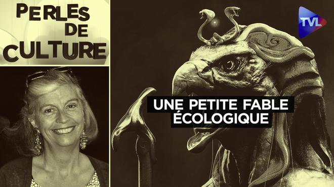 Perles de Culture n°331 : Une petite fable écologique qui remet les hommes en place