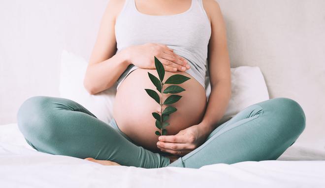 Grossesse : le guide pour un environnement sain