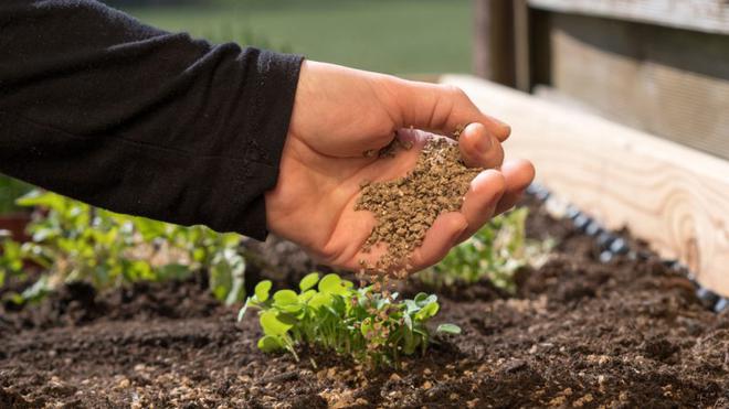 Impact de la crise énergétique sur le secteur agroalimentaire : la Commission envisage une communication spécifique