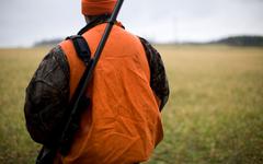 30 propositions déposées pour mieux réglementer la chasse !