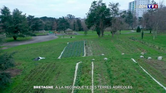 Bretagne : la reconquête des terres agricoles