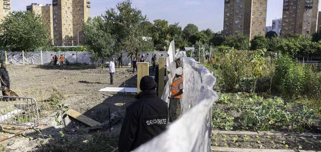Jardins d’Aubervilliers : les travaux suspendus - Pauline Gensel