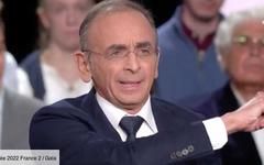 VIDÉO – “Collabo !” : le débat entre Éric Zemmour et Yannick Jadot vire au pugilat