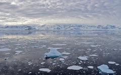 L'Antarctique a enregistré des températures 30°C au-dessus de la normale cette semaine