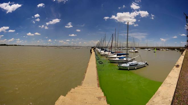 Afrique du Sud : grave pollution sur la rivière Vaal qui alimente le Gauteng et eau potable