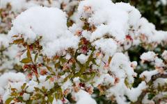 Neige le 1er avril : " Des coups de froid ne sont pas incohérents avec le réchauffement climatique "