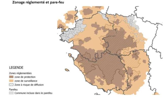 Influenza aviaire : 769 foyers dans les Pays de la Loire.