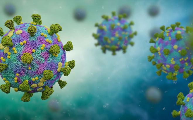 Plus de 5.500 virus inconnus découverts dans l'océan