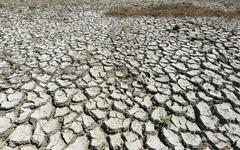 Dix départements face à la sécheresse : ce qu'on ne peut pas faire en cas d'alerte(s)