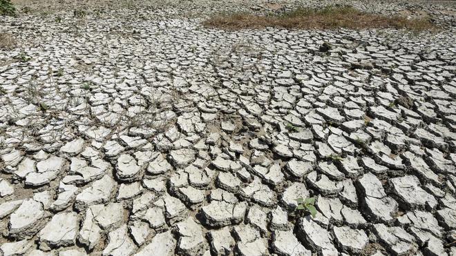 Dix départements face à la sécheresse : ce qu'on ne peut pas faire en cas d'alerte(s)